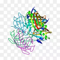 �ߵ������������-������