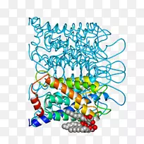 ������Ϊ�ߵ��������-������