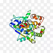 ���������鱦ϵ�м������鱦����-������