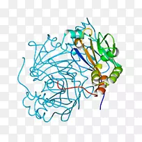 �ߵ������-��-������