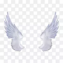 ��������-������