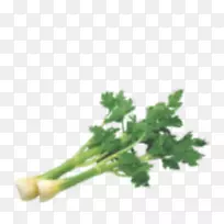 ŷ��ʳƷӪ���߲����-�߲�-������