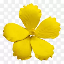 ���񵰸����յ����Ǻ����ǵ���װ��-��ɫ����-������