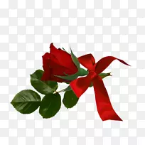 花园玫瑰花卉设计切花-空若网 花园玫瑰花卉设计切花-空若网