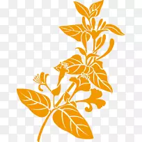 ҩ��ֲ���в�ҩ-������