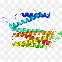 珠宝首饰-空若网 珠宝首饰-空若网