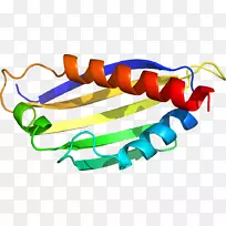 服装配饰线时尚剪贴画线-空若网 服装配饰线时尚剪贴画线-空若网
