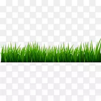 �߶�����-������