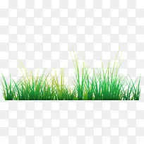 AdobeFlashPlayer草坪剪贴画-空若网 AdobeFlashPlayer草坪剪贴画-空若网