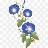 暑中見舞い博客-第一次爱-空若网 暑中見舞い博客-第一次爱-空若网