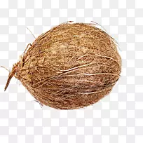 椰子存放文件剪辑艺术-椰子-空若网 椰子存放文件剪辑艺术-椰子-空若网