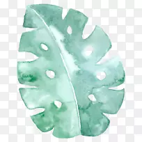 Ë®²Ê»Ò¶¼ÐÒÕÊõÊֻ污ºÉÂÌÒ¶-¿ÕÈôÍø Ë®²Ê»Ò¶¼ÐÒÕÊõÊֻ污ºÉÂÌÒ¶-¿ÕÈôÍø