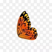 �����������������-����-������