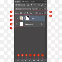 Adobeϵͳ�̳̲�adobe Lighttroom-ps����ʽ-������