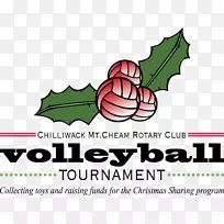 品牌排球开花植物标志-华盛顿小山-空若网 品牌排球开花植物标志-华盛顿小山-空若网