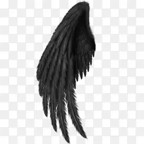 ˮţ��������-������