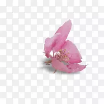 �ۺ�m rtv�ۺ�ݱ�ֲ��-ֲ��-������