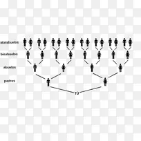 光线点角-光-空若网 光线点角-光-空若网