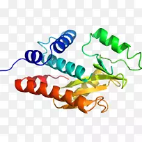 生物线动物剪贴画线-空若网 生物线动物剪贴画线-空若网