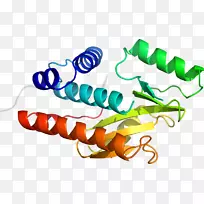 无脊椎动物线动物剪贴画线-空若网 无脊椎动物线动物剪贴画线-空若网