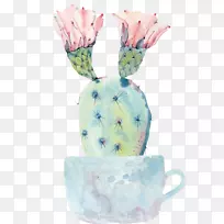 仙人掌科水彩画肉质植物仙人掌水彩画盆栽仙人掌-空若网 仙人掌科水彩画肉质植物仙人掌水彩画盆栽仙人掌-空若网