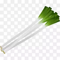 ��Ҷɳ��-ʳ�ﺣ��-������