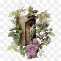 博客照片-鸟-空若网 博客照片-鸟-空若网