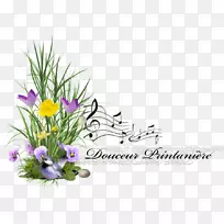 ��������л���׿uke����-usb-��-������