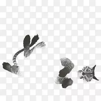 白炽热的玫瑰-空若网 白炽热的玫瑰-空若网