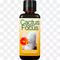 �����Ƽ�����������Ӫ������ֲ�������ƿƿ����辰������-������