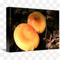 静物摄影苹果-空若网 静物摄影苹果-空若网