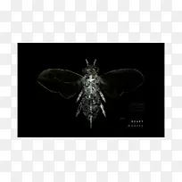 À¥³æºûµû×ÀÃæ±ÚÖ½´«·Û»ú-¿ÕÈôÍø À¥³æºûµû×ÀÃæ±ÚÖ½´«·Û»ú-¿ÕÈôÍø