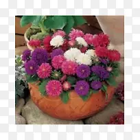 �����ƻ�̦õ�����������ӿ����辰������-������