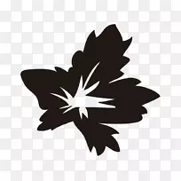 1月31日博客-空若网 1月31日博客-空若网