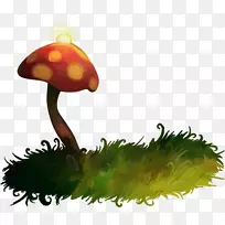 �㹽-Ģ���̲�-������