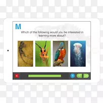 多媒体视频有机体品牌Darwinius-市场调查-空若网 多媒体视频有机体品牌Darwinius-市场调查-空若网