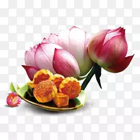 �±������nelumbo nucifera������±�����װ��ͼ��-������