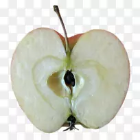 苹果下载电子邮件3d仓库剪辑艺术-苹果-空若网 苹果下载电子邮件3d仓库剪辑艺术-苹果-空若网