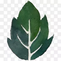 叶水彩画绿叶落叶元素透明元素-空若网 叶水彩画绿叶落叶元素透明元素-空若网