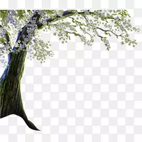 风景摄影剪贴画-树-空若网 风景摄影剪贴画-树-空若网