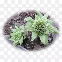 �ݱ���-������