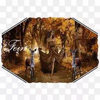 银杏主题树澳大利亚山水画-Fein-空若网 银杏主题树澳大利亚山水画-Fein-空若网