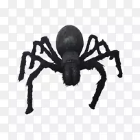 Ö©ÖëÀ¥³æÖ©Öë-¿ÕÈôÍø Ö©ÖëÀ¥³æÖ©Öë-¿ÕÈôÍø