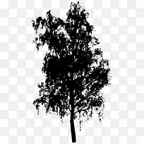 ��-��-������