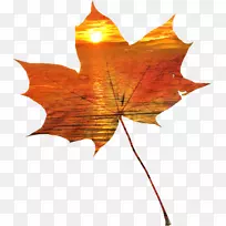 中心博客讯息剪贴画-空若网 中心博客讯息剪贴画-空若网