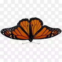 ��������-������