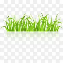 免费内容剪辑艺术-鲜绿草-空若网 免费内容剪辑艺术-鲜绿草-空若网