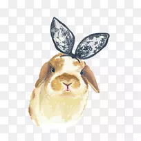 ¸´»î½ÚÍÃ×ÓË®²Ê»²åͼ-СÇåУ¬ÃÀÀö£¬Êֻ棬ˮ²Ê»£¬Ð¡¹·-¿ÕÈôÍø ¸´»î½ÚÍÃ×ÓË®²Ê»²åͼ-СÇåУ¬ÃÀÀö£¬Êֻ棬ˮ²Ê»£¬Ð¡¹·-¿ÕÈôÍø