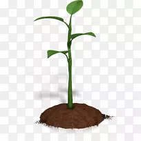 植物动画microsoft powerpoint剪贴画-植物-空若网 植物动画microsoft powerpoint剪贴画-植物-空若网