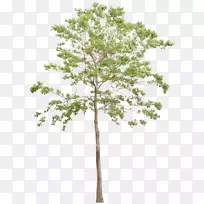 �������ͼ�����-������